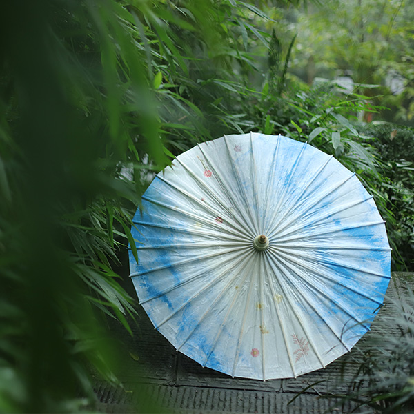 扬州植物标本油纸伞