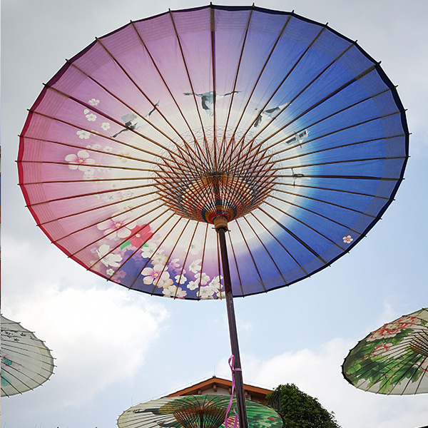 丽江户外庭院油纸伞